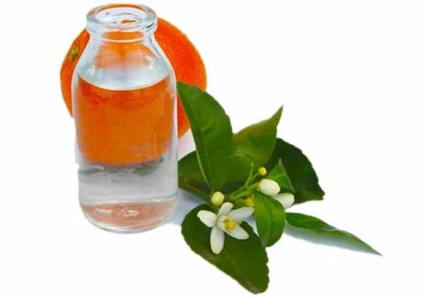 تصویر 5 از قیمت عرق بهار نارنج پامچال با کیفیت ارزان + خرید عمده